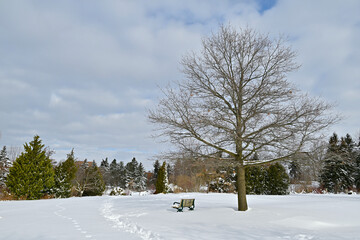 Deep snow in the public park with park bench in winter.