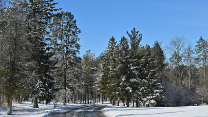 Picturesque scenery of a country road with freshly fallen snow in the winter.