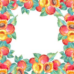 Watercolor square frame with copy space apricot and green leaves. Red orange hand-drawn fruit isolated on white background. Sweet dessert summer food. Art for menu or wallpaper, wrapping and invite