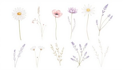 Delicate Hand-Painted Floral Illustration of Cascading Wisteria Vines