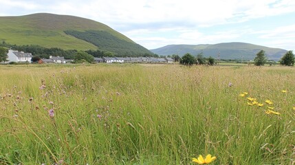 Lush green meadow with wildflowers in foreground, scenic hills and quaint village in background