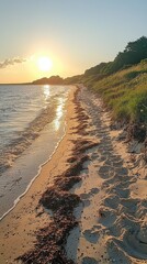 Serene sunset over a sandy beach with gentle waves and lush greenery in the background