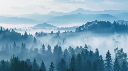 Obraz premium Misty Forest and Mountain Layers at Dawn