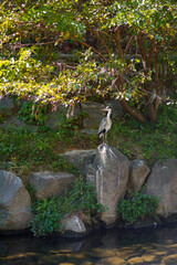A Taste of Seoul - Cheonggyecheon