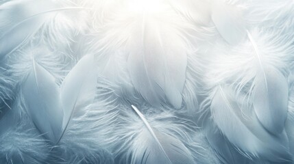 Feather Patterns with Delicate Soft Natural Textures &ndash; Abstract background