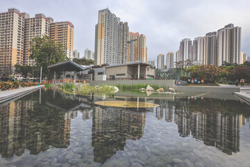 Jan 31 2025 Reflecting High-Rise Residential Buildings in a Calm Pond