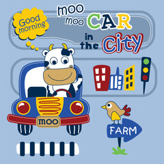 Playful cartoon cow driving a car in the city with traffic lights and a farm sign. Children's transportation concept
