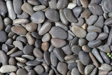 玉砂利　石の造形