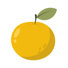 Fresh Orange fruit vector illustration