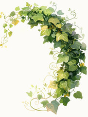 Fototapeta premium Ivy watercolor hand-painted decorative plant elements