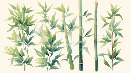 Bamboo watercolor hand-painted decorative elements