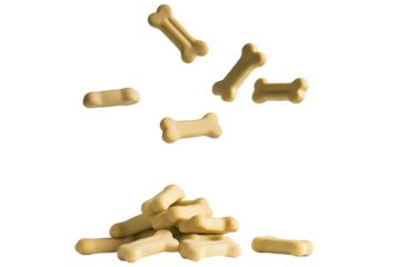 Pet Food in Small Brown, Bone Shaped Pieces Scattered Around