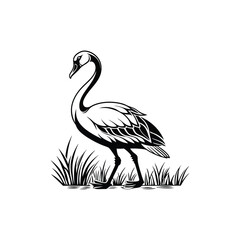 Black and White Heron Bird Silhouette with Grass – Vector Illustration