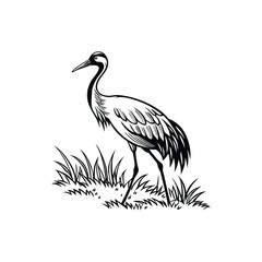 Black and White Heron Bird Silhouette with Grass – Vector Illustration