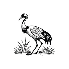 Black and White Heron Bird Silhouette with Grass – Vector Illustration