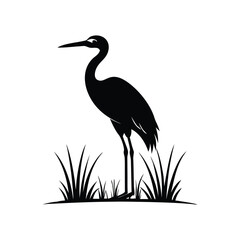 Black and White Heron Bird Silhouette with Grass – Vector Illustration