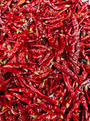 Fototapeta premium dried red chillies background，Chilli pepper, chillies spicy chili background 