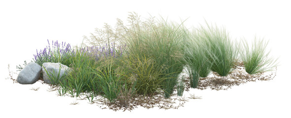 hedgehog in grass