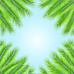 Naklejka premium Green palm leaves frame bright blue sky
