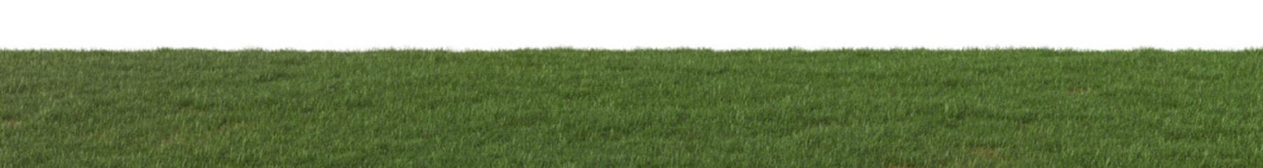 Green grass field isolated on transparent background. 3d realistic rendering . PNG format	
