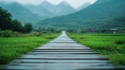 Obraz premium Wooden path through misty rice paddy to mountains