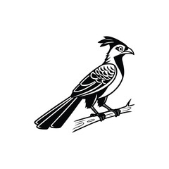 Black Silhouette of Crested Bird – Exotic Songbird Vector Illustration
