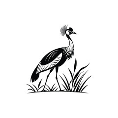 Royal Crested Bird Silhouette Standing on Grass – Vector Art