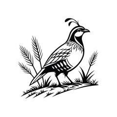 Royal Crested Bird Silhouette Standing on Grass – Vector Art