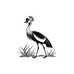 Royal Crested Bird Silhouette Standing on Grass – Vector Art