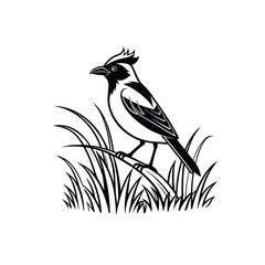 Royal Crested Bird Silhouette Standing on Grass &ndash; Vector Art