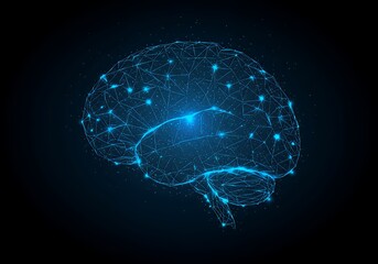 Human Brain Model with Connected Nodes and Digital Network Connection