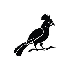 Fototapeta premium Black Silhouette of Crested Bird – Exotic Songbird Vector Illustration