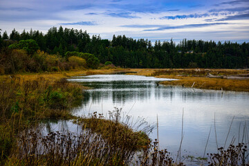 2024-11-08 THE WATERFRONT AT THE IVERSON TRAIL PRESERVE ON CAMANO ISLAND WITH CALM WATER AND A NICE SKY