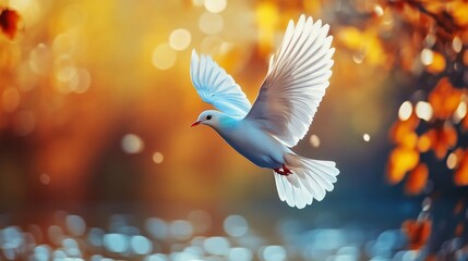 White dove flying in autumn background with bokeh effect