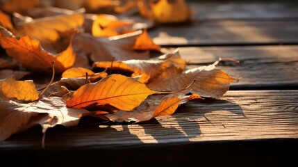 foliage fall leaves on wood