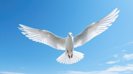 Obraz premium soaring white blue background