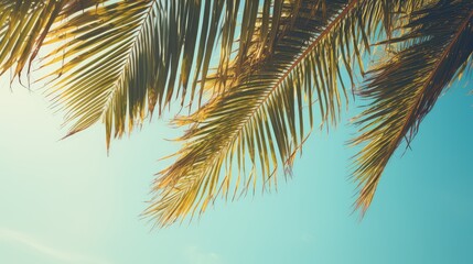 postcard palm tree retro