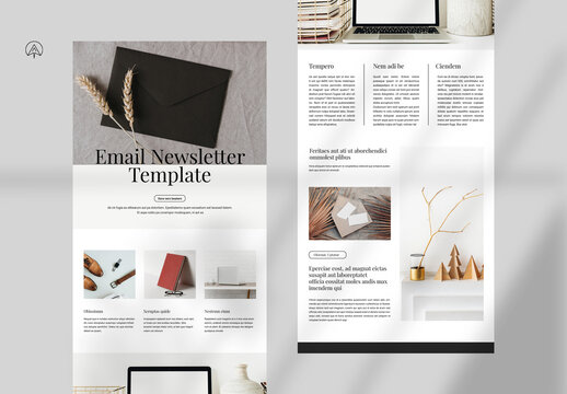 Minimal Email News Letter Template
