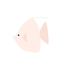 Angle Fish, Tropical Fish