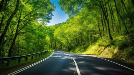 Fototapeta premium travel road forward