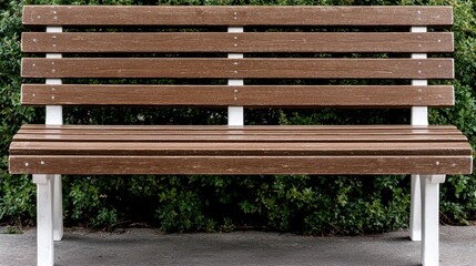 Wooden park bench in front of hedge. Possible use Stock photo for parks, cityscapes, outdoor seating