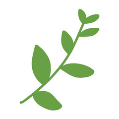 green leaves isolated on white background