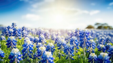 Fototapeta premium calming blue photo background