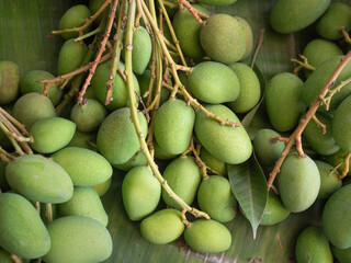 Close up top view green small mango for sell in the market.