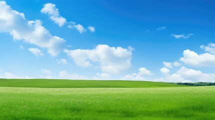 Obraz premium background blue green backgrounds
