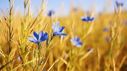 close golden flaxseed