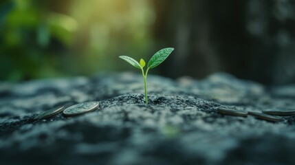 Sustainable Businesses A tiny green shoot, like a beacon of hope, pushes its way through the concrete jungle of a pile of coins, a testament to the enduring power of nature to thrive even in the most