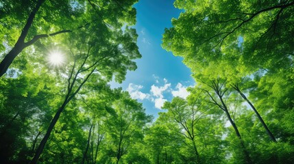 Obraz premium sky green and blue backgrounds