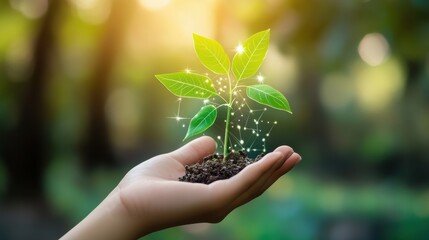 Sustainable Businesses A vibrant, D illustration meticulously portrays a comprehensive health plan, meticulously detailing risk prevention strategies and effective management approaches.