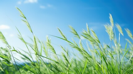 Fototapeta premium scenery green plants background
